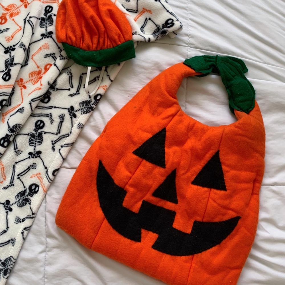 Handmade Halloween Pumpkin Pet Costume
